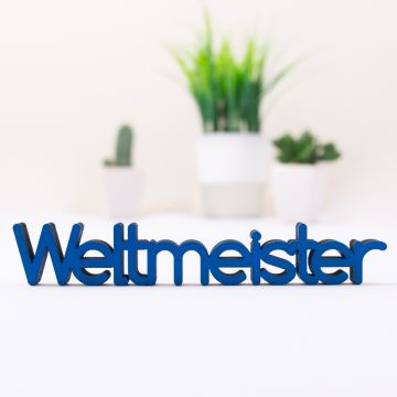 Dekoschriftzug Weltmeister
